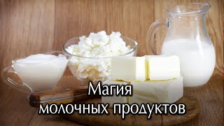 Магия молочных продуктов. Об Архиважности коровьего молока в нашей жизни, других молочных продуктах.