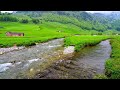 Appenzell Switzerland 🇨🇭 in Beautiful Spring with Relaxing Water Streams and Rivers | #swiss