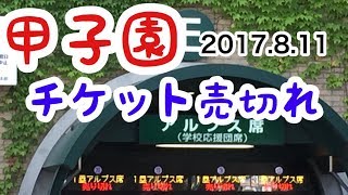 2017.8.11 甲子園 超満員 チケット売切れ