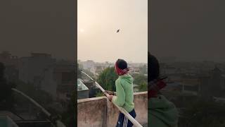 1 kite looting from rooftop🪁Big kite catching |Cutting kite caught on roof |Flying big kite #shorts