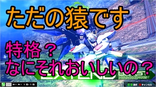 チンパン達のマキオン【ストフリ】