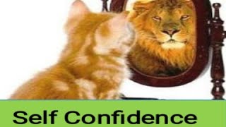 Self Confidence Motivation Quotes in English |  346 #shorts
