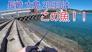 ショアジギング2匹目はこんな魚が釣れました！長崎県 西海市大島 崎戸