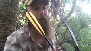 AAE Hunting Trad Vane Review