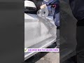 গাড়ির দরজার ডেন্ট উঠানোর সহজ উপায় how to remove a dent from a car door without damaging ...