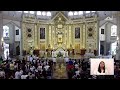 LIVE: Fifteenth Sunday in Ordinary Time | July 14, 2024 | 12NN MASS