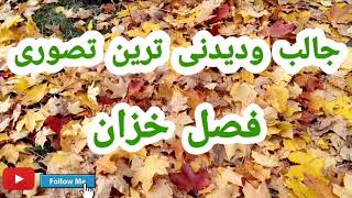 بهترین تصوری از فصل خزان در فنلاند🍂