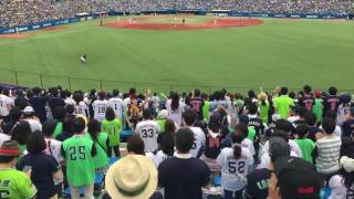 2016/6/4 東京ヤクルトスワローズ 川端応援歌→川端チャンテ@神宮球場