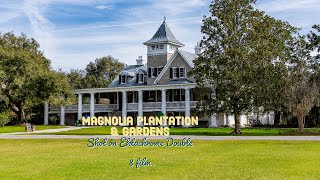 CHECK IT OUT!  🎥🎬😊Magnolia Plantation, Ektachrome double 8 movie film, Movie Film Photography