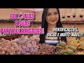 COLÔNIAS DE CACTOS E SUCULENTAS!