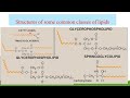 introduction to lipids - session 1 -part 1