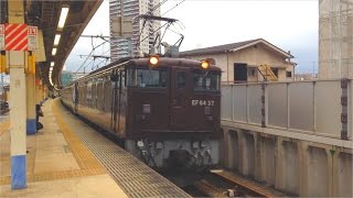 【故障から復帰！３回目の長野へ！】JR東日本EF64 37号機牽引カシオペア信州　南千住駅通過