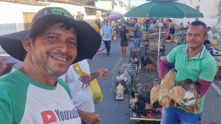 VANIO DA FEIRA DA GALINHA REGISTRANDO AS NOVIDADES EM ARAPIRACA-AL NO BAIRRO BRASÍLIA COM OS AMIGOS