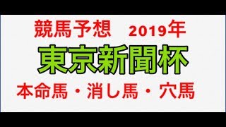 【競馬予想】東京新聞杯 2019年