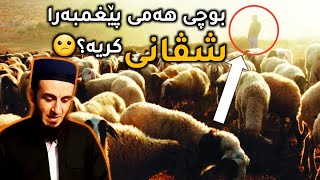 بۆچی هەمی پێغمبەرا (عليهم الصلاة والسلام) شڤانی کریە؟🤔 | ملا بهزاد دوسكی