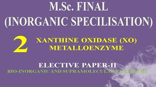 XANTHINE OXIDASE (XO) METALLOENZYME