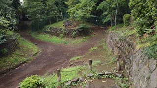 宮の坂 : 世田谷八幡宮〜世田谷城跡〜豪徳寺  Miyanosaka Gotoku-ji：tokyo 2019