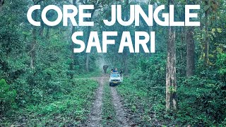 I Survived a Jungle Safari Adventure at Buxa Tiger Reserve