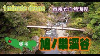 【1min. drone #19】東京都奥多摩町・鳩ノ巣渓谷～東京都内で自然を満喫～