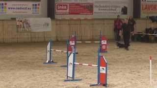 20150228 - Finale Team Wintercompetitie - Henk Timmer en Feng - vast parcours.