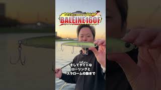 BALEINE160FL ｜ バレーヌ #shorts