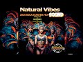 2025 soca starter mix by natural vibes sound