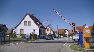 Spoorwegovergang Sessenheim (F) // Railroad crossing // Passage à niveau