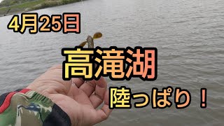 バス釣り 春【4月25日】高滝湖 陸っぱり釣行！