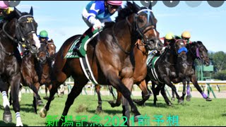 【新潟記念前予想】前走は勝ったが、今回はさらに期待出来るあの馬が！