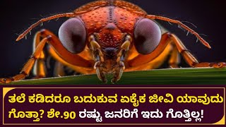 ತಲೆ ಕಡಿದರೂ ಬದುಕುವ ಏಕೈಕ ಜೀವಿ ಯಾವುದು ಗೊತ್ತಾ? || Kannada Savari