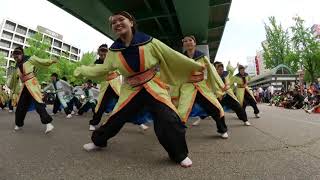 2019わいわい若宮　第1部 名古屋大学 快踊乱舞