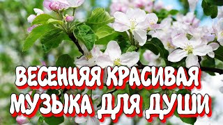 ВЕСЕННЯЯ КРАСИВАЯ МУЗЫКА ДЛЯ ДУШИ  МУЗЫКА СЕРГЕЙ ГРИЩУК