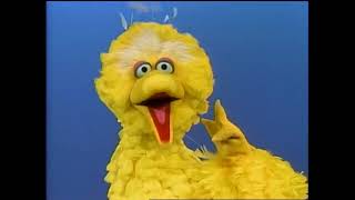 Classic Sesame Street - Big Bird's Feet Poem