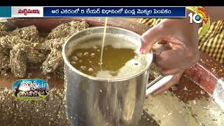 గానుగ నూనె తయారీతో అధిక లాభాలు | Huge Profits With Ganuga Oil | Matti Manishi | 10TV Agri