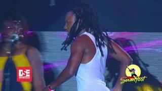 Reggae Sumfest 2016 - Nature Gets Wild on Stage with Camera Crew