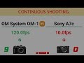 OM System OM-1 vs Sony A7c Comparison: 20 Reasons to buy the OM-1 and 7 Reasons to buy the A7c