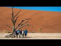 Daily Dose of Nature | All You Need to Know About The Great Namibia Wildlife Safari