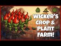 The Industrial Crop & Plant Farm Ft. Wickerbottom's Rework & Wormwood - Don't Starve Together Guide