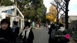 漫步東京 (3) 地鐵 日比谷線 \u0026 上野公園方面