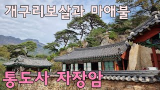 양산 통도사 자장암 / 개구리보살 / 금개구리와 자장율사 / 마애석가여래좌상