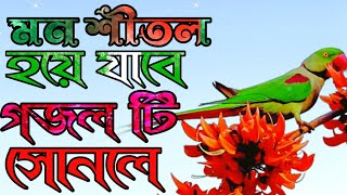 তুমি আরশে থাকো প্রভু || Tumi Aroshe Thako Provu || নতুন গজল || Bangla Gojol