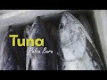 Tuna Pulau Buru