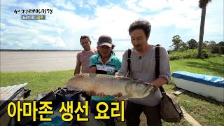 수족관의 황제! 고급 관상어 '아로와나'로 만든 아마존 강 어부들의 밥상