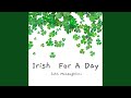 The Lone Irish Flute