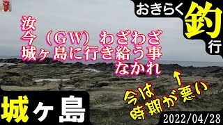 【#城ヶ島】#おきらく釣行【2022/04/28】