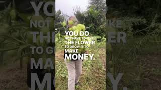 When you step over the line from being a hobby gardener to starting a flower farming business, there