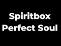 Spiritbox – Perfect Soul Lyrics