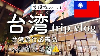 【vlog】台湾行くならこれだけは忘れないで！【台北女一人旅】