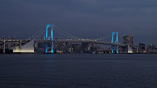 レインボーブリッジ　ブルー　ライトアップ　東京湾　2020　屋形船　遊覧船　新型コロナウイルス　東京アラートが発令された日　　豊洲ぐるり公園