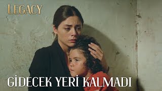 Seher'in gidecek yeri kalmadı... | Emanet 206. Bölüm